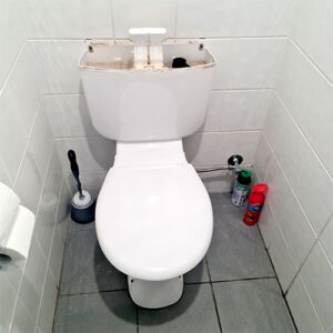 Toilet cistern repair